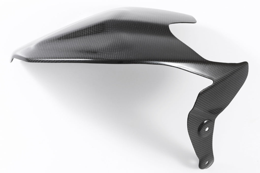 Fullsix Carbon Swingarm Guard - Guard - Ducati Panigale R/Panigale V2