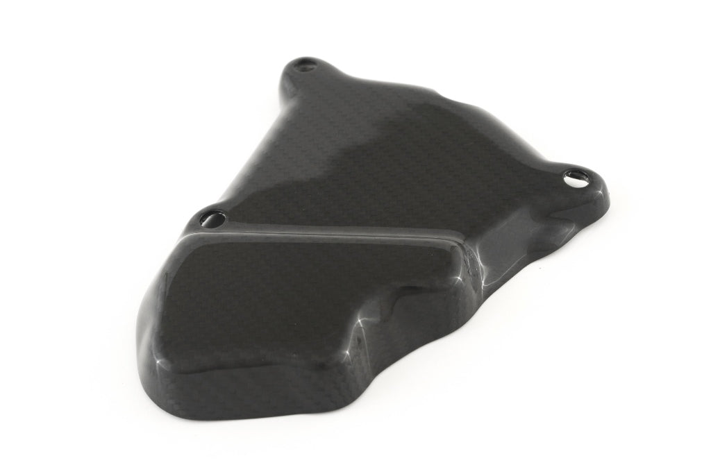 Fullsix Carbon Ignition Rotor Protection Guard - BMW S1000R/S1000RR