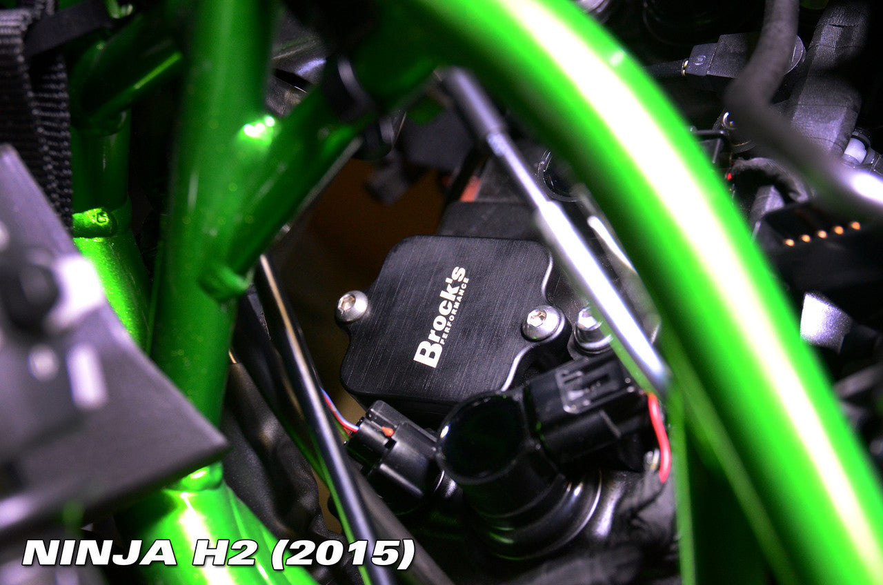Brock's Performance PAIR Block Off Plates Ninja H2, Z H2, ZX-14/R, ZX-10R, Z900/RS