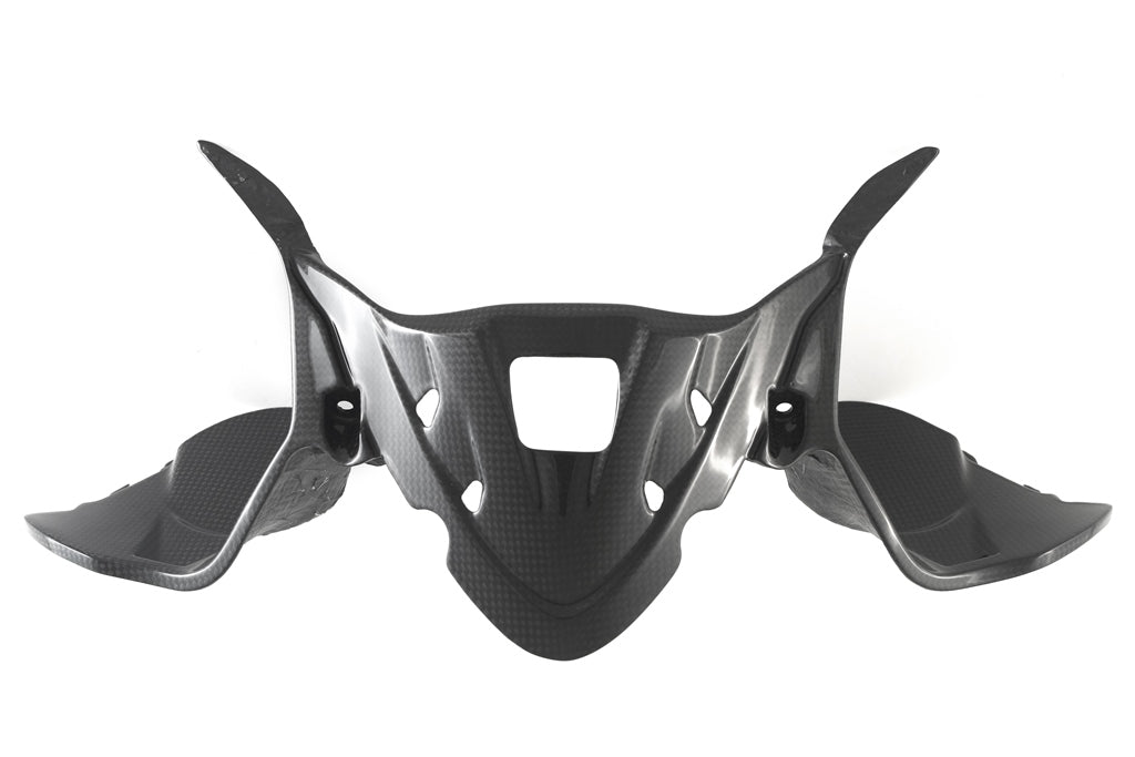 Fullsix Carbon Instruments Cover - Ducati Panigale R/959 Panigale