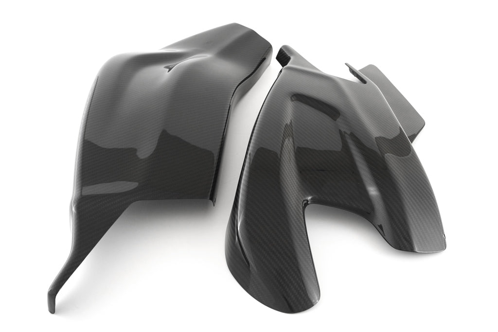 Fullsix Carbon Swingarm Guard - Set - BMW S1000R/S1000RR