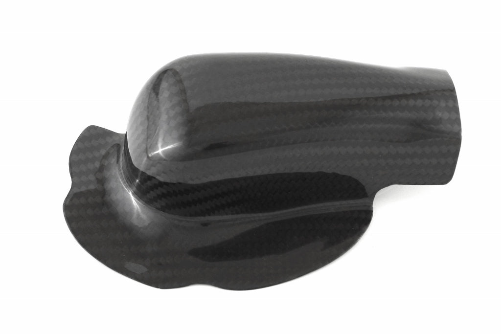 Fullsix Carbon Water Pump Protection Guard - BMW S1000R/S1000RR