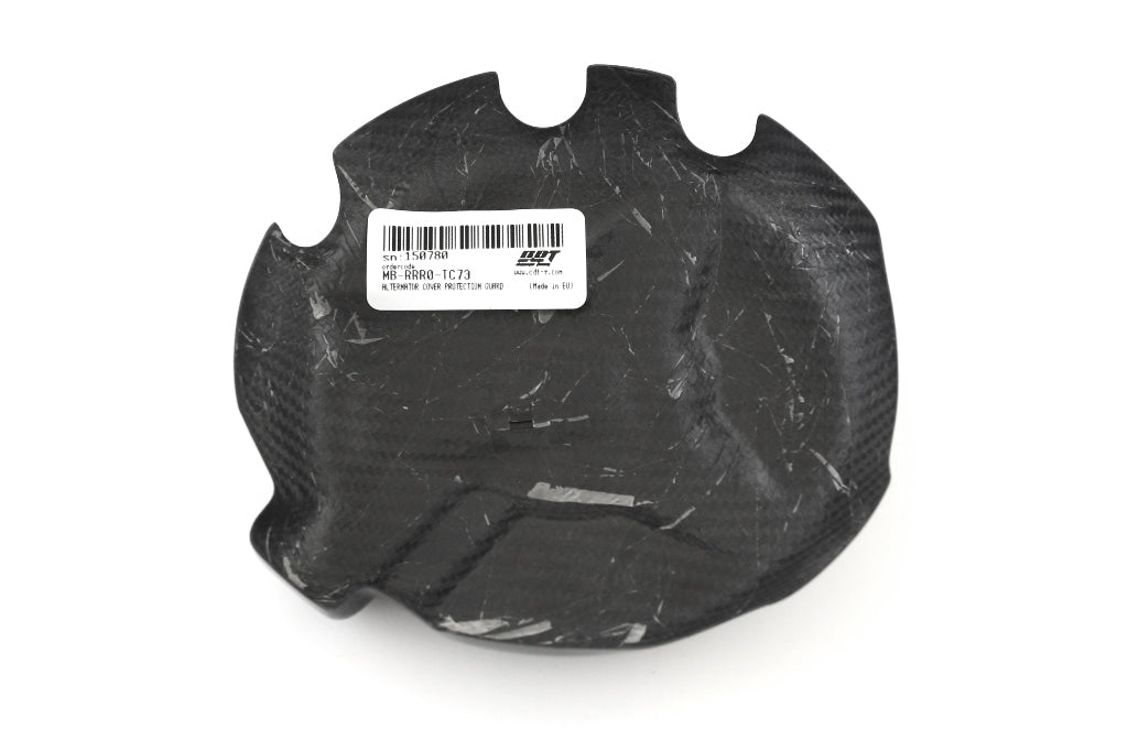 Fullsix Carbon Alternator Cover Protection Guard - BMW S1000R/S1000RR