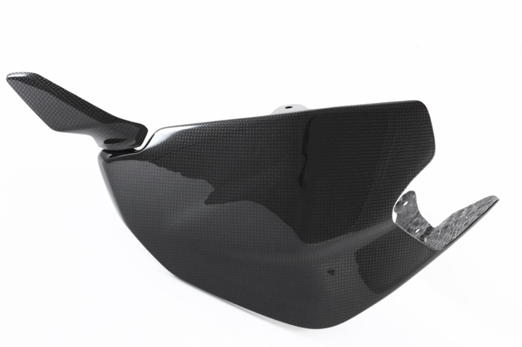 Fullsix Carbon Swingarm Guard - Ducati Panigale R/Panigale V2