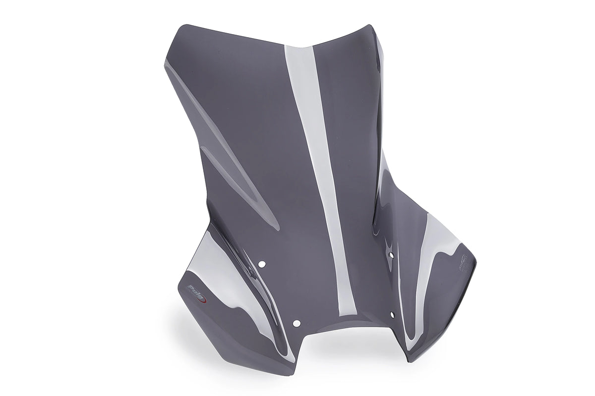 Puig Touring Plus Screen - BMW R1300GS (Ref. 22268)