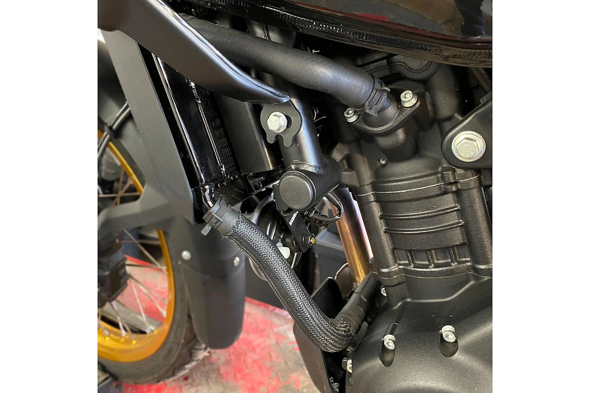 Puig Chassis Plugs - Royal Enfield Himalayan 450/Guerrilla 450