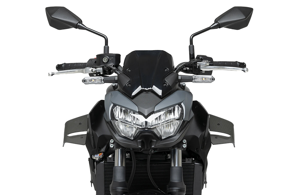 Puig Spoiler D12 - Kawasaki Z650