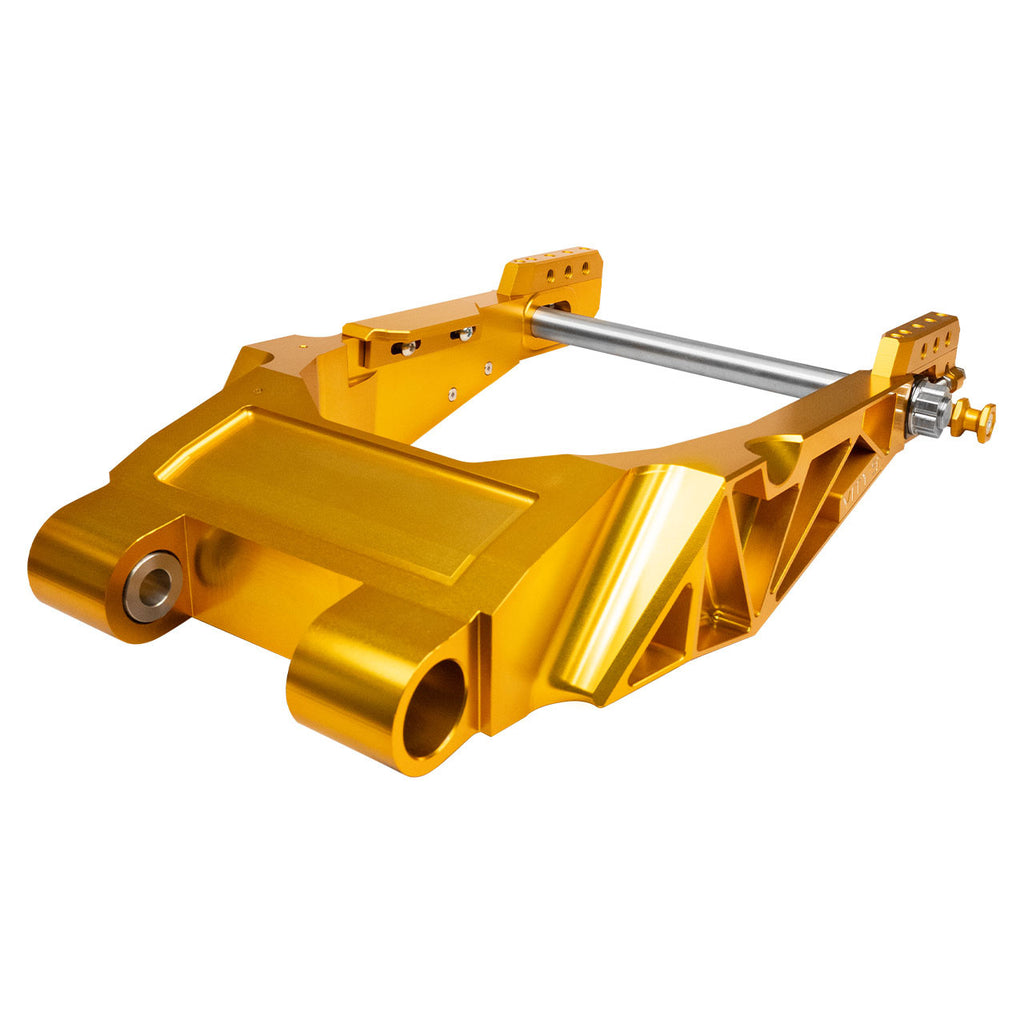 Brock's Performance Vity's Performance Swingarm Gold Touring Models (09-26)