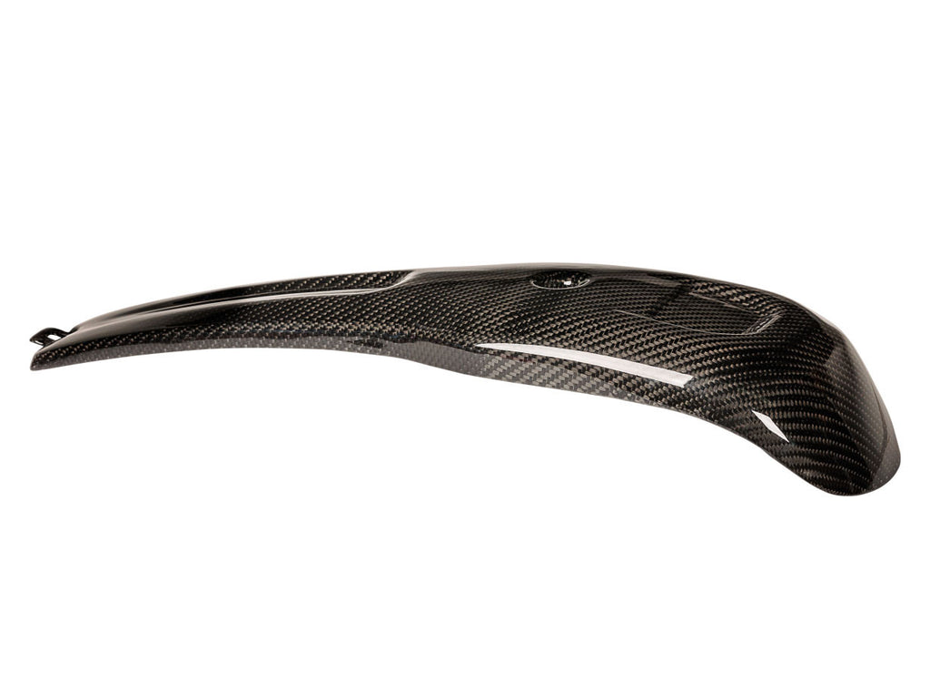 Brock's Performance Vity's Dash Cover Carbon Fiber - Low Rider S/ST (22-24)
