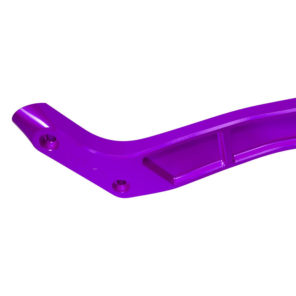 Brock's Performance Vity's Design Rear Fender Mount w/ Turn Signal Holes Purple Low Rider S/ST (18-26)