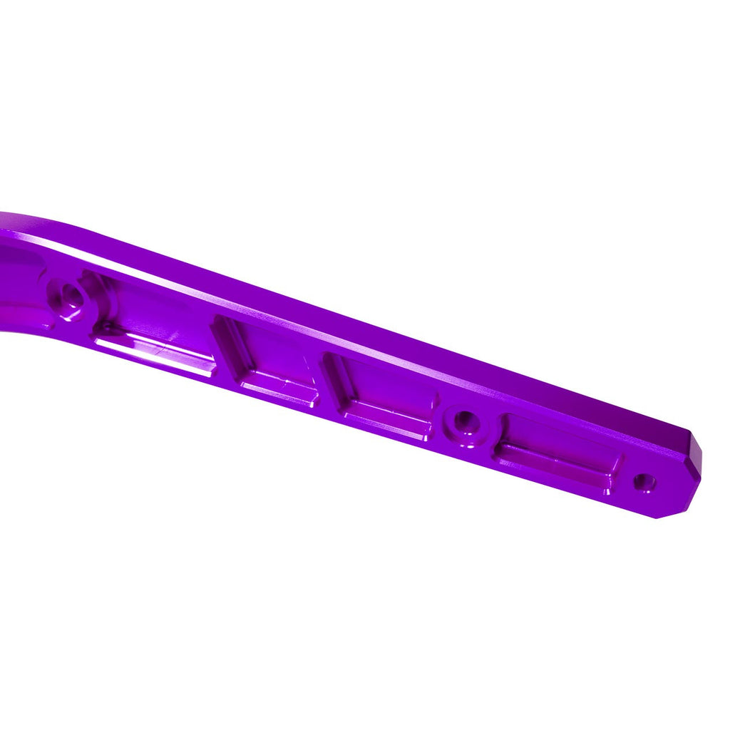 Brock's Performance Vity's Design Rear Fender Mount w/ Turn Signal Holes Purple Low Rider S/ST (18-26)