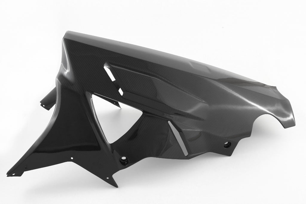 Fullsix Carbon Belly Pan - BMW S1000R/S1000RR
