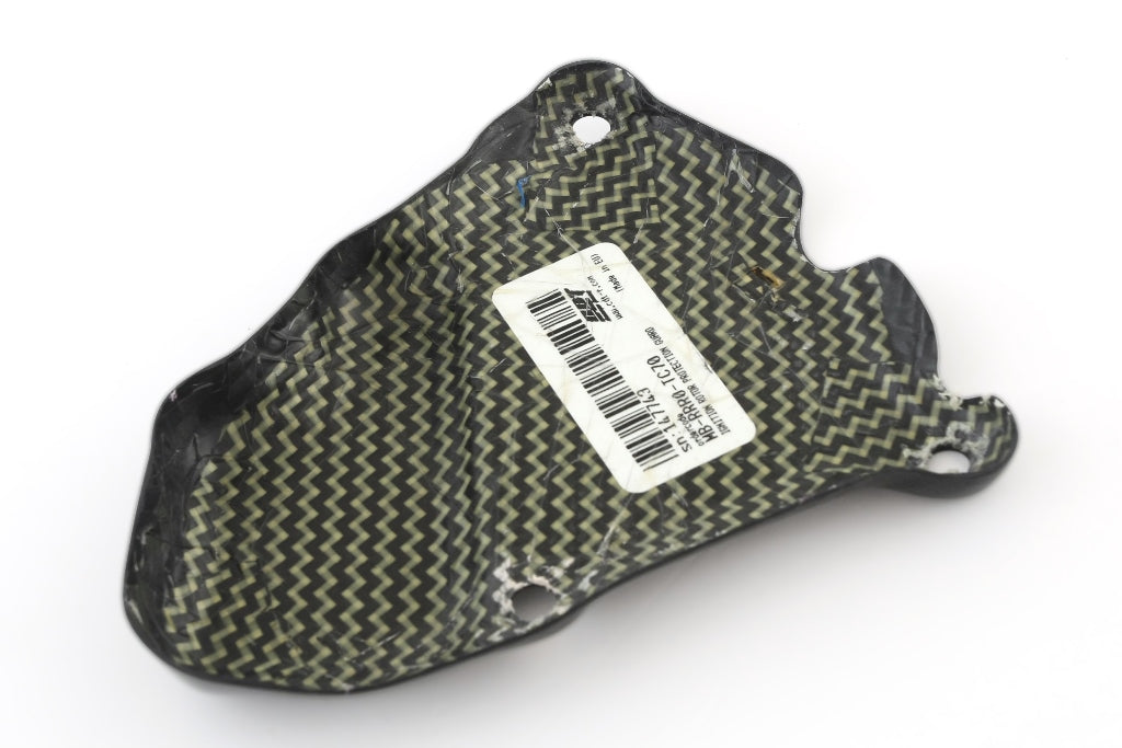 Fullsix Carbon Ignition Rotor Protection Guard - BMW S1000R/S1000RR