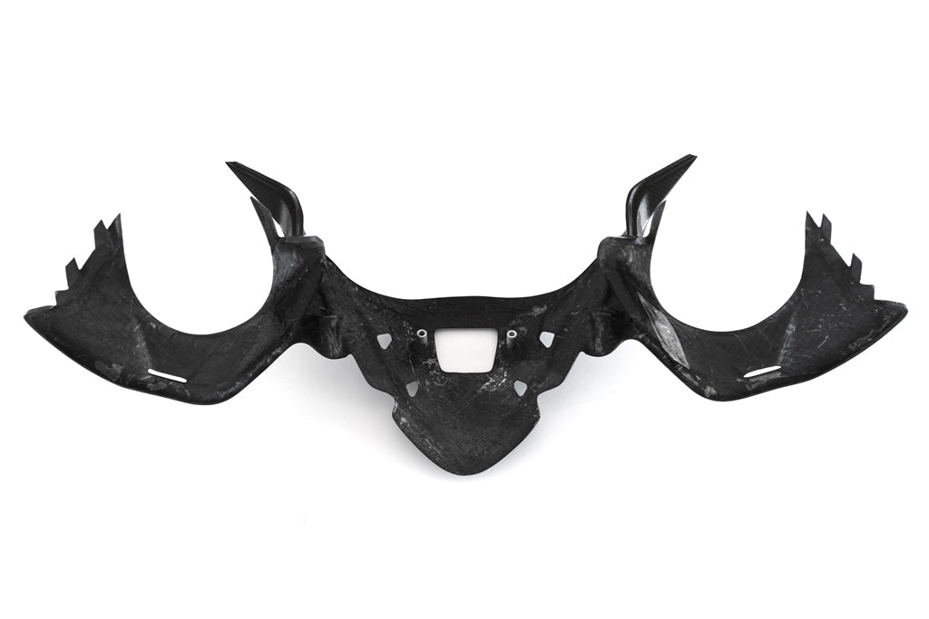 Fullsix Carbon Instruments Cover - LED - Ducati Panigale R/959 Panigale