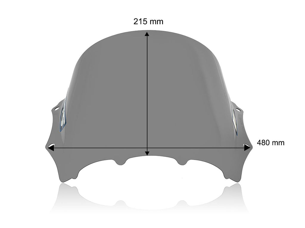 WRS Race Windscreen BMW M 1000 RR 2023-2024