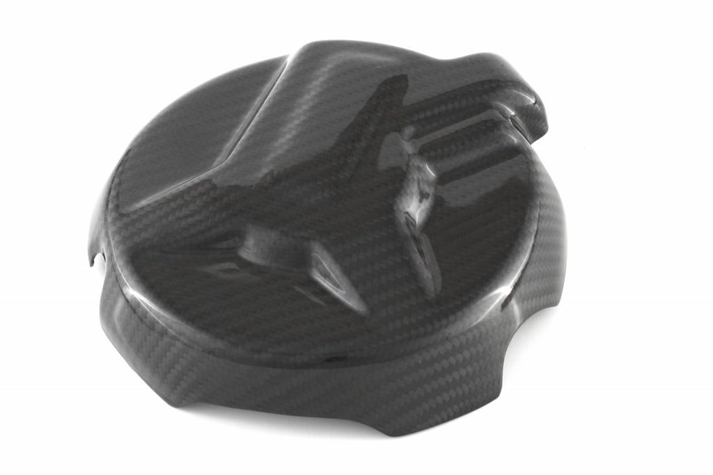 Fullsix Carbon Alternator Cover Protection Guard - BMW S1000R/S1000RR