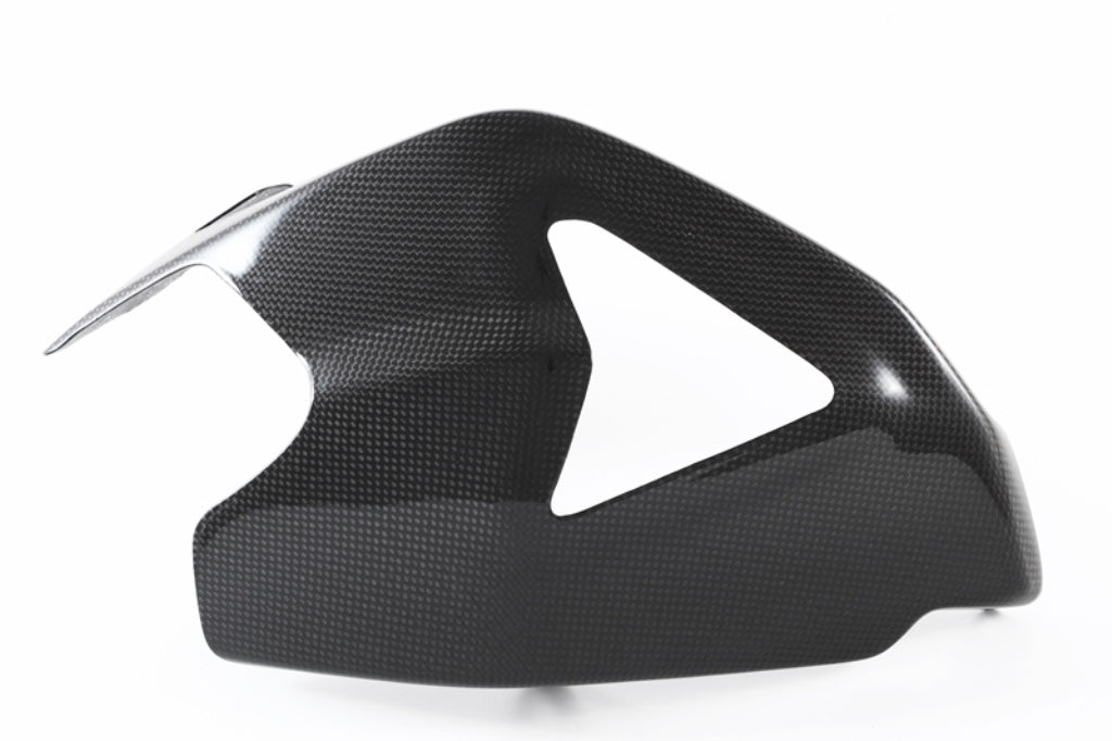 Fullsix Carbon Swingarm Guard - Guard - Ducati Panigale R/Panigale V2