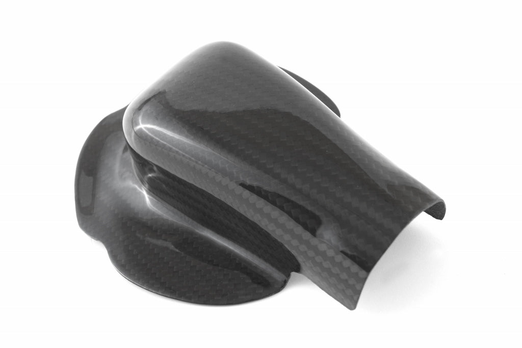 Fullsix Carbon Water Pump Protection Guard - BMW S1000R/S1000RR