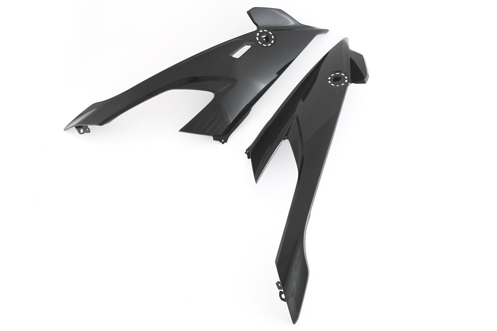 Fullsix Carbon Fairing Side Panel - Set - BMW S1000R/M1000RR