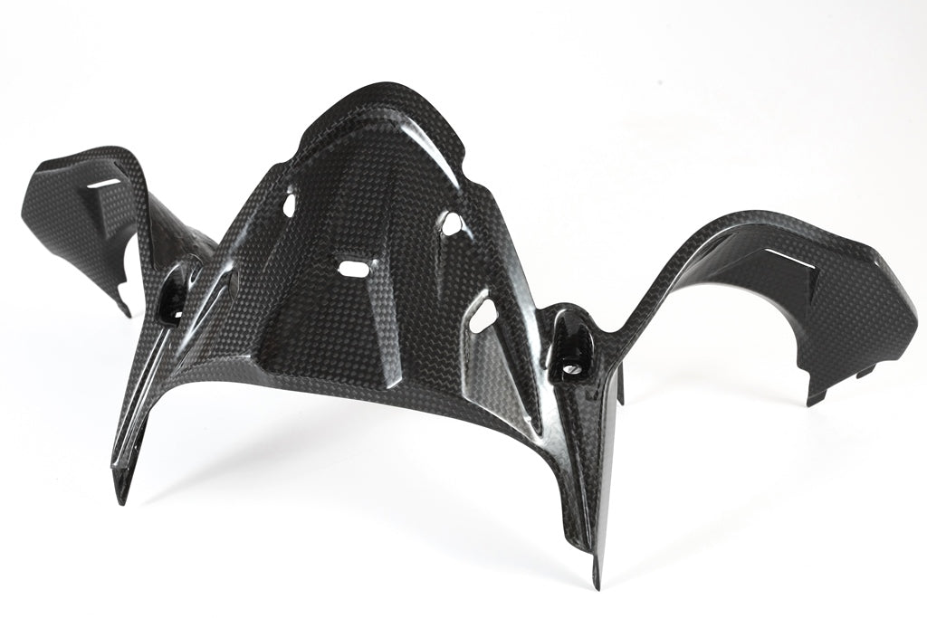 Fullsix Carbon Instruments Cover - Ducati Panigale R/Panigale V2