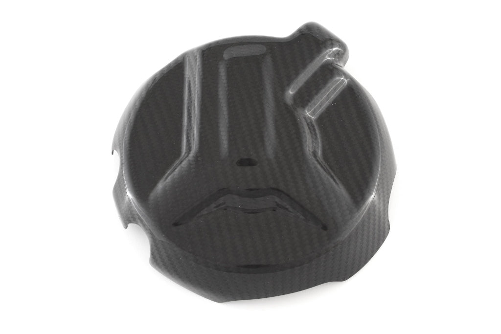 Fullsix Carbon Alternator Cover Protection Guard - BMW S1000R/S1000RR