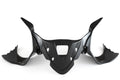 Fullsix Carbon Instruments Cover - LED - Ducati Panigale R/959 Panigale