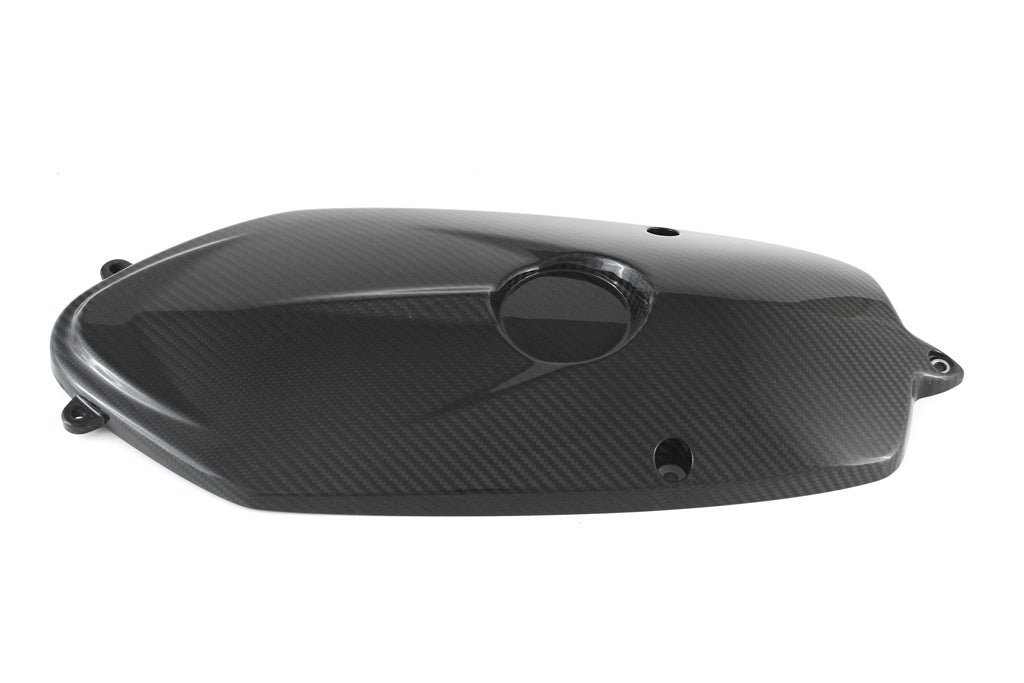 Fullsix Carbon Engine Cover - BMW R Nine T