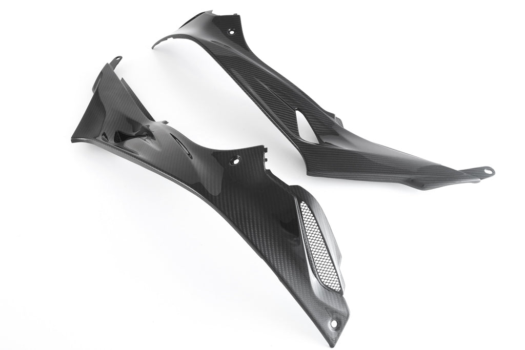 Fullsix Carbon Tank Fairing - Set - BMW S1000R/S1000RR
