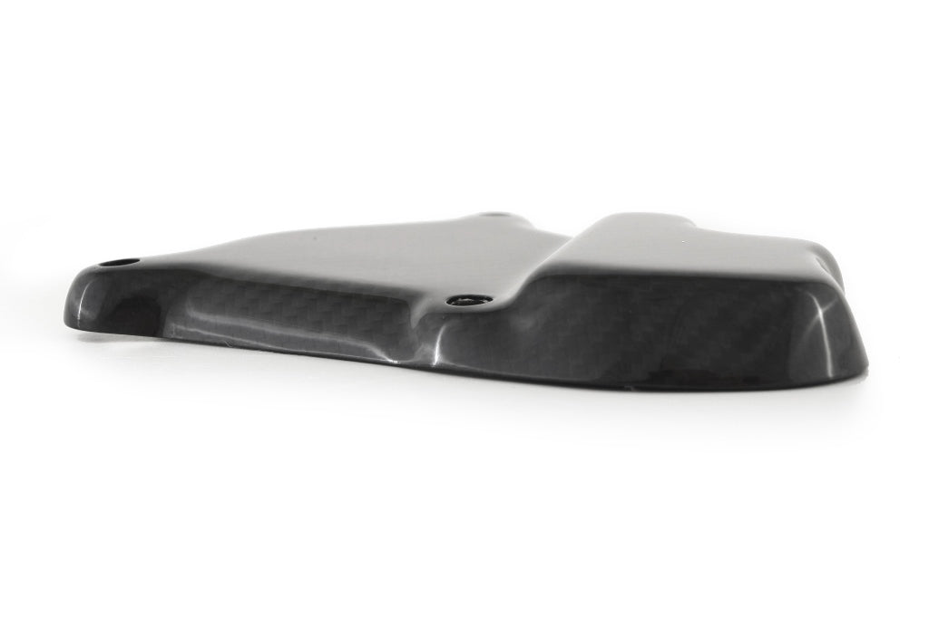 Fullsix Carbon Ignition Rotor Protection Guard - BMW S1000R/S1000RR