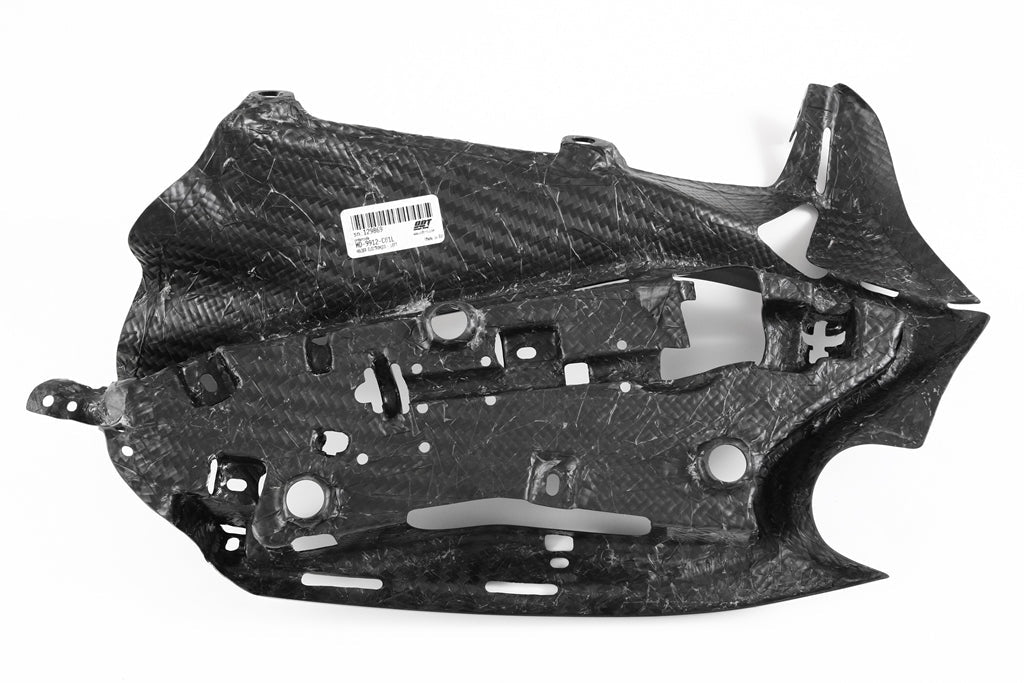 Fullsix Carbon Holder Electronics - Left - Ducati Panigale R/Panigale V2