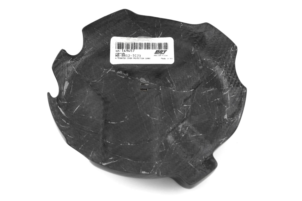 Fullsix Carbon Alternator Cover Protection Guard - BMW S1000R/S1000RR