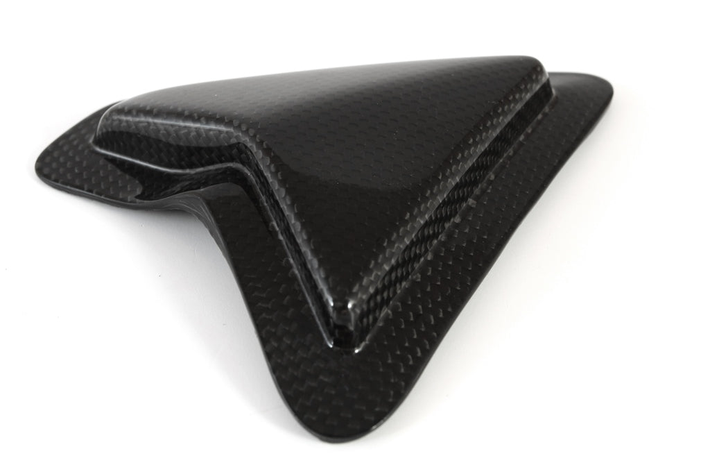 Fullsix Carbon Swingarm Guard - Slider - Ducati Panigale R/Panigale V2