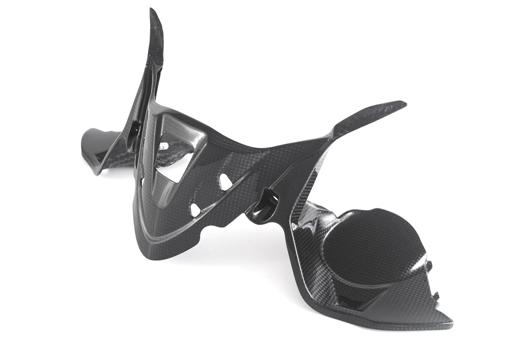 Fullsix Carbon Instruments Cover - Ducati Panigale R/959 Panigale