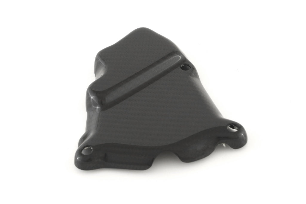 Fullsix Carbon Ignition Rotor Protection Guard - BMW S1000R/S1000RR