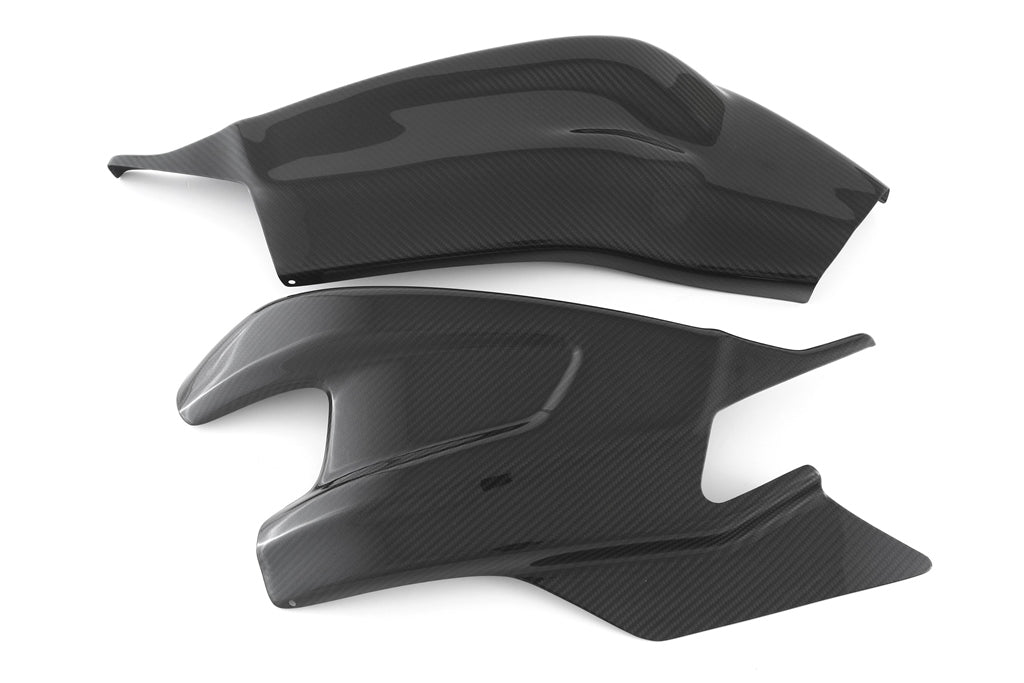 Fullsix Carbon Swingarm Guard - Set - BMW S1000R/S1000RR