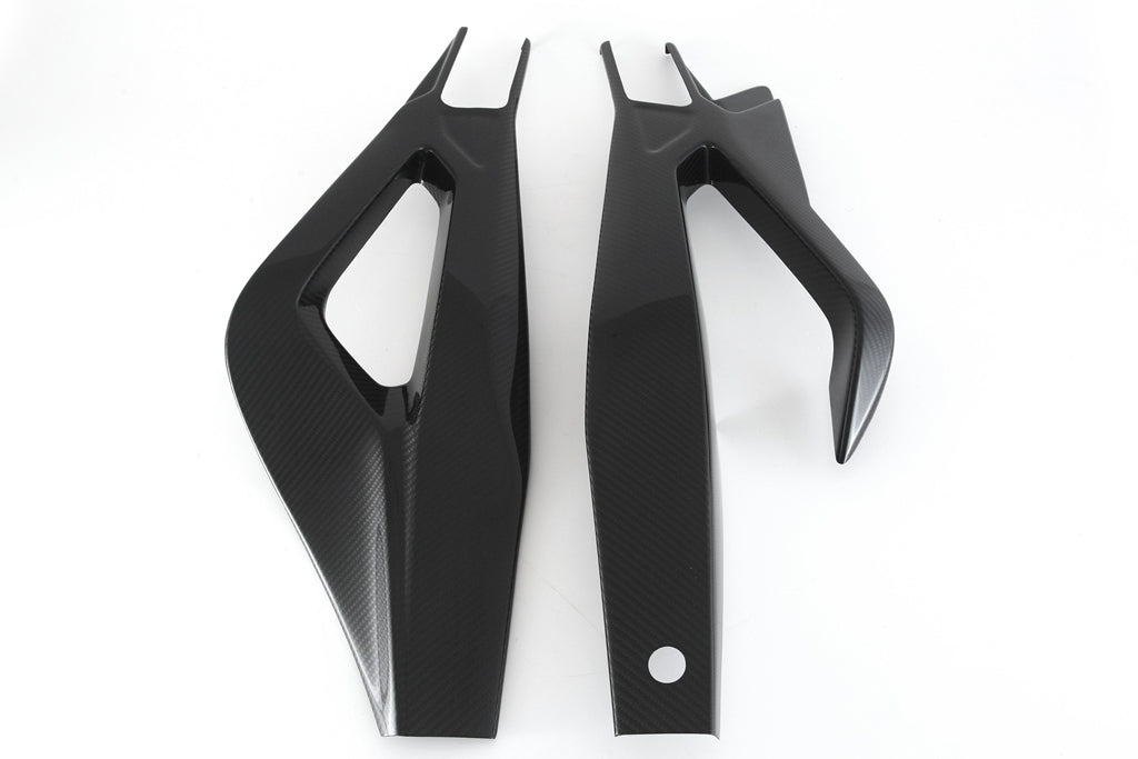 Fullsix Carbon Swingarm Guard - Set - BMW S1000R/M1000RR