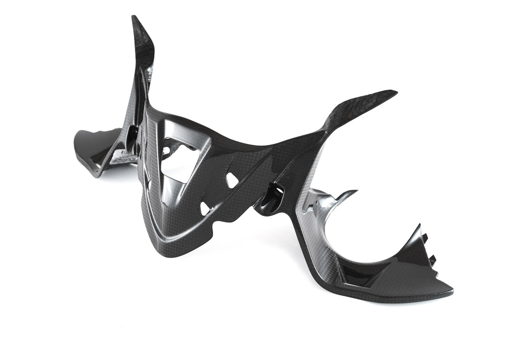 Fullsix Carbon Instruments Cover - LED - Ducati Panigale R/959 Panigale