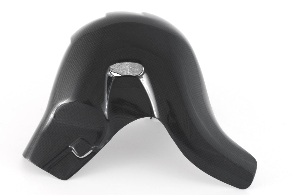 Fullsix Carbon Exhaust Protection OEM Euro5 - 2021 - Ducati Panigale V4/Streetfighter V4