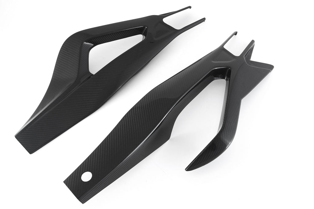 Fullsix Carbon Swingarm Guard - Set - BMW S1000R/M1000RR
