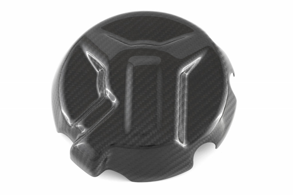 Fullsix Carbon Alternator Cover Protection Guard - BMW S1000R/S1000RR