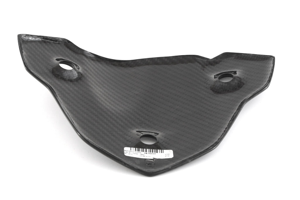 Fullsix Carbon Headlight Fairing - Cover - BMW S1000R
