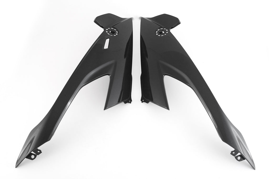 Fullsix Carbon Fairing Side Panel - Set - BMW S1000R/M1000RR