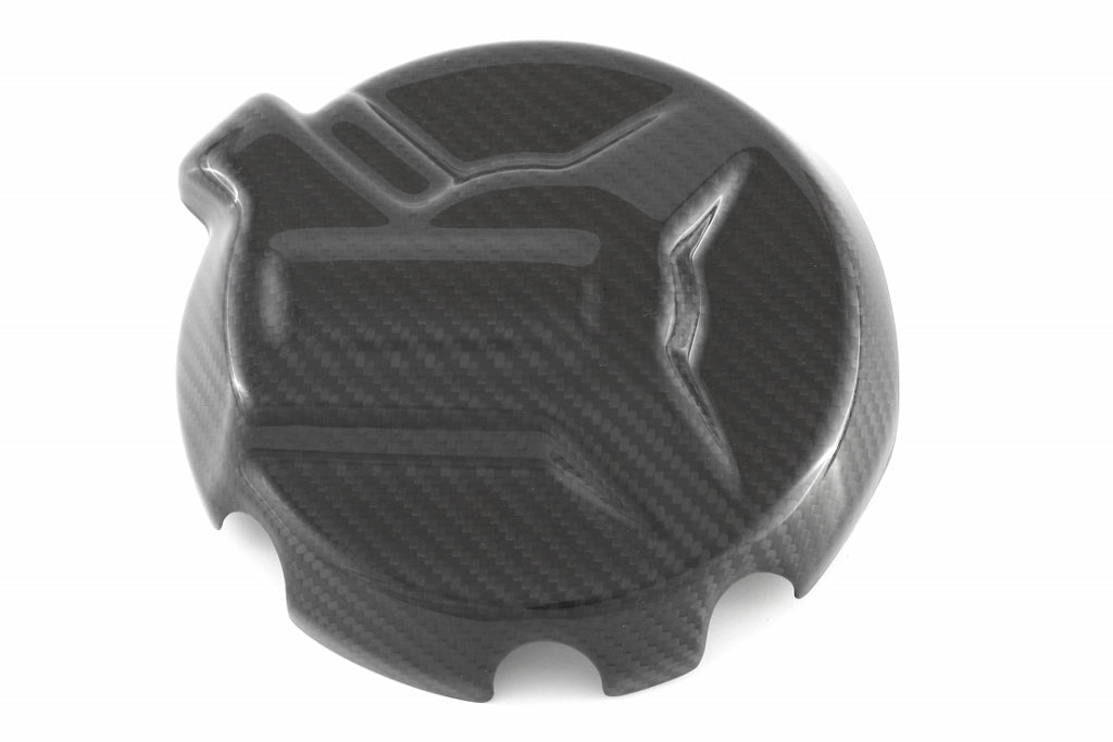 Fullsix Carbon Alternator Cover Protection Guard - BMW S1000R/S1000RR