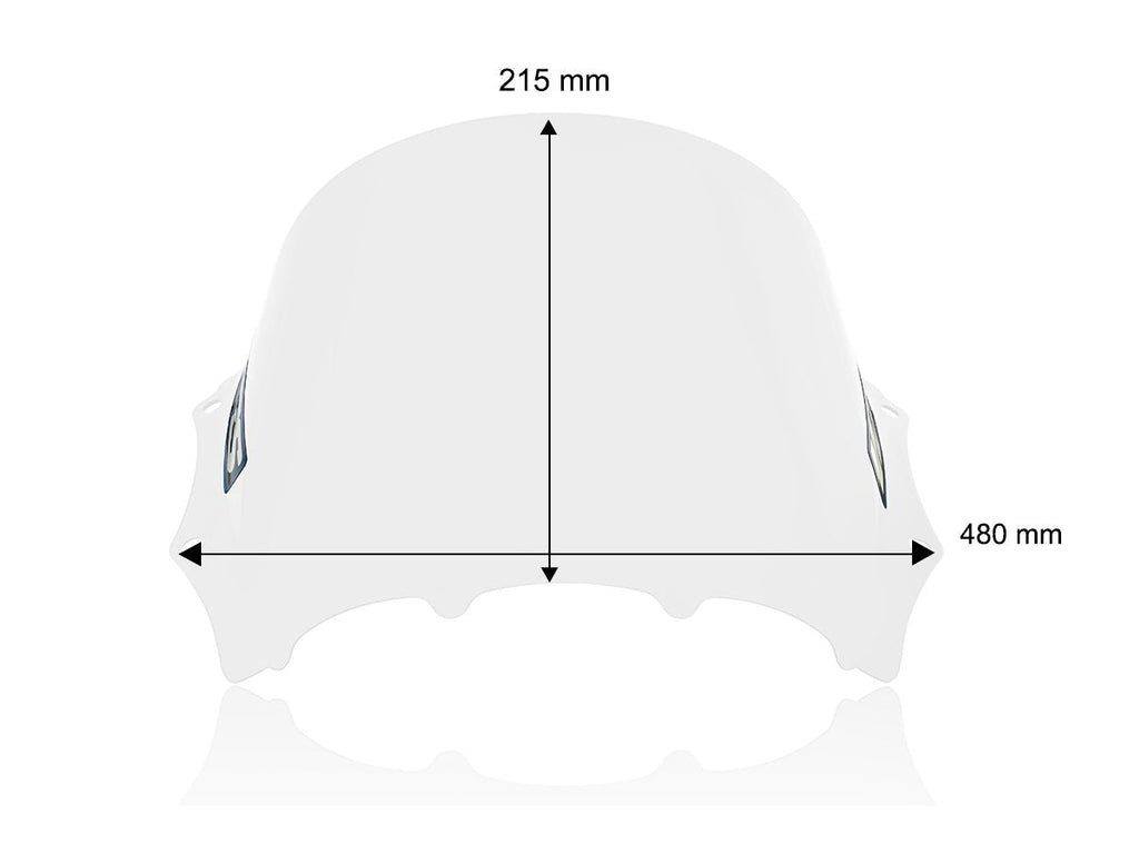 WRS Race Windscreen BMW M 1000 RR 2023-2024