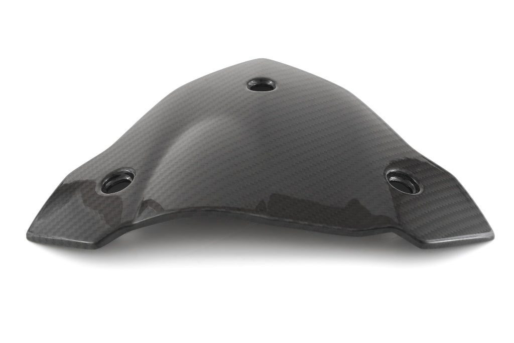Fullsix Carbon Headlight Fairing - Cover - BMW S1000R