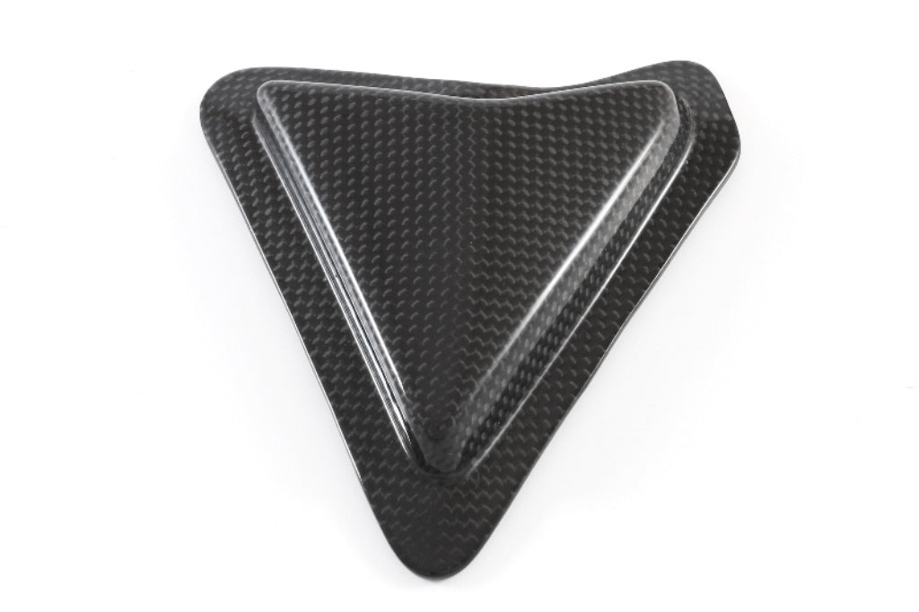 Fullsix Carbon Swingarm Guard - Slider - Ducati Panigale R/Panigale V2