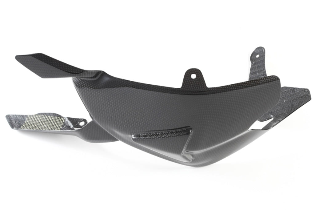 Fullsix Carbon Swingarm Guard - Onepiece - Ducati Panigale R/Panigale V2