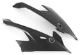 Fullsix Carbon Fairing Side Panel - Set - BMW S1000R/M1000RR