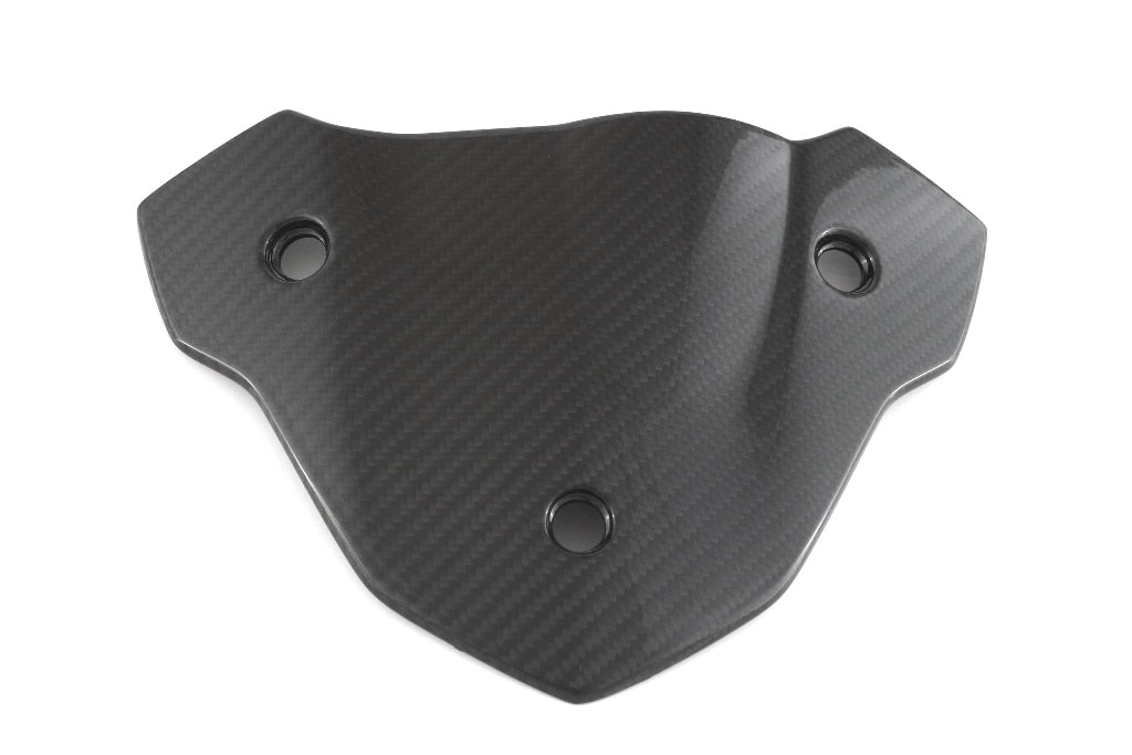 Fullsix Carbon Headlight Fairing - Cover - BMW S1000R