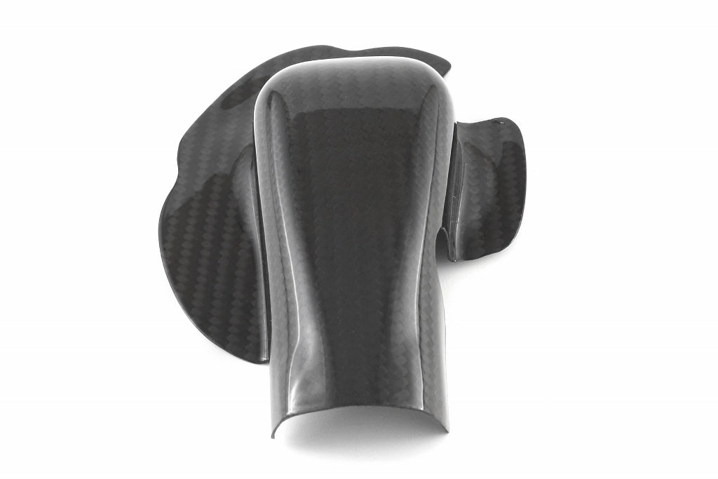 Fullsix Carbon Water Pump Protection Guard - BMW S1000R/S1000RR